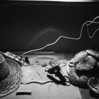 135 2025_07_28 den H příprava