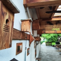 203 2025_07_30 výlet - parazoo