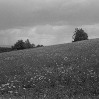 222 2025_07_31 výlet