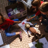 242 2025_08_01 fotogramy