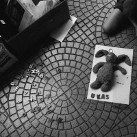 243 2025_08_01 fotogramy