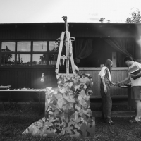 361 2025_08_06 Jarmark